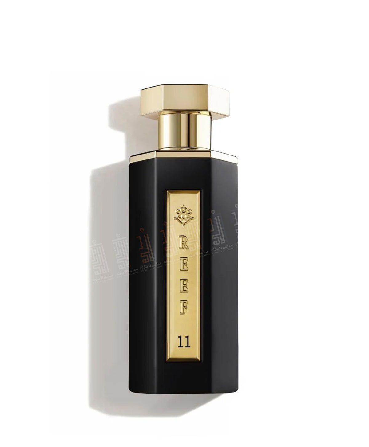 REEF 11 - 100ml